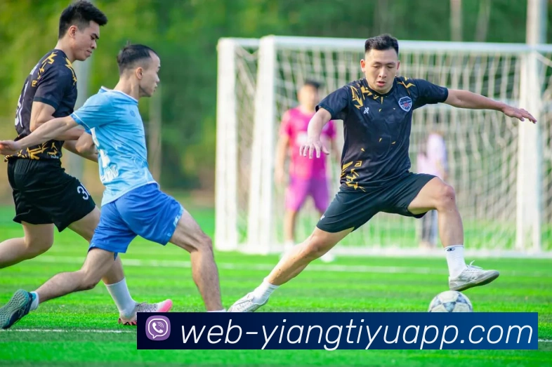 意昂体育发展历程